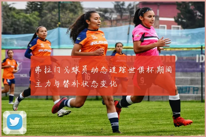 弗拉门戈球员动态追踪世俱杯期间主力与替补状态变化