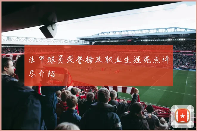 法甲球员荣誉榜及职业生涯亮点详尽介绍