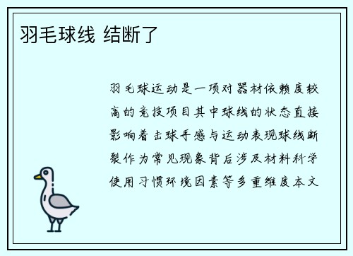 羽毛球线 结断了