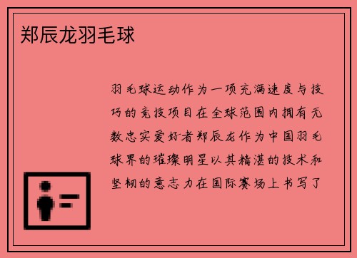 郑辰龙羽毛球